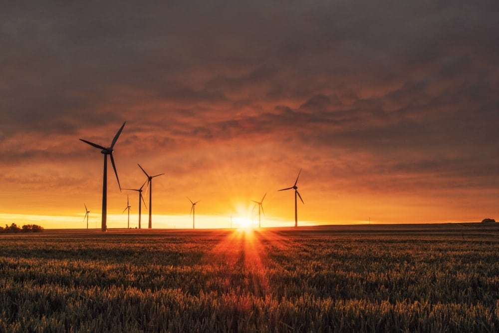 Power Quality Monitoring for Wind Farms